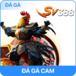 Ảnh đá gà