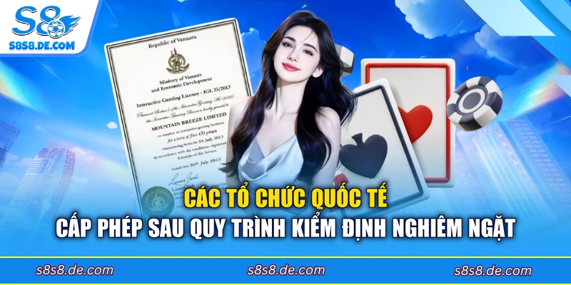 Các tổ chức quốc tế cấp phép sau quy trình kiểm định nghiêm ngặt