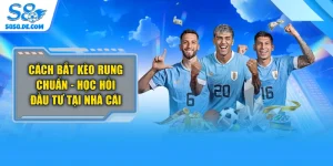 Cách Bắt Kèo Rung Chuẩn - Học Hỏi Đầu Tư Tại Nhà Cái